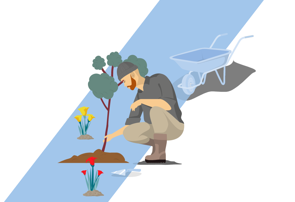 man working in a garden planting a small tree