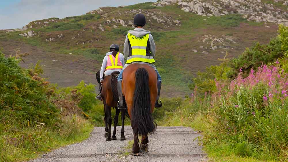 Couple ride their horses along a country road