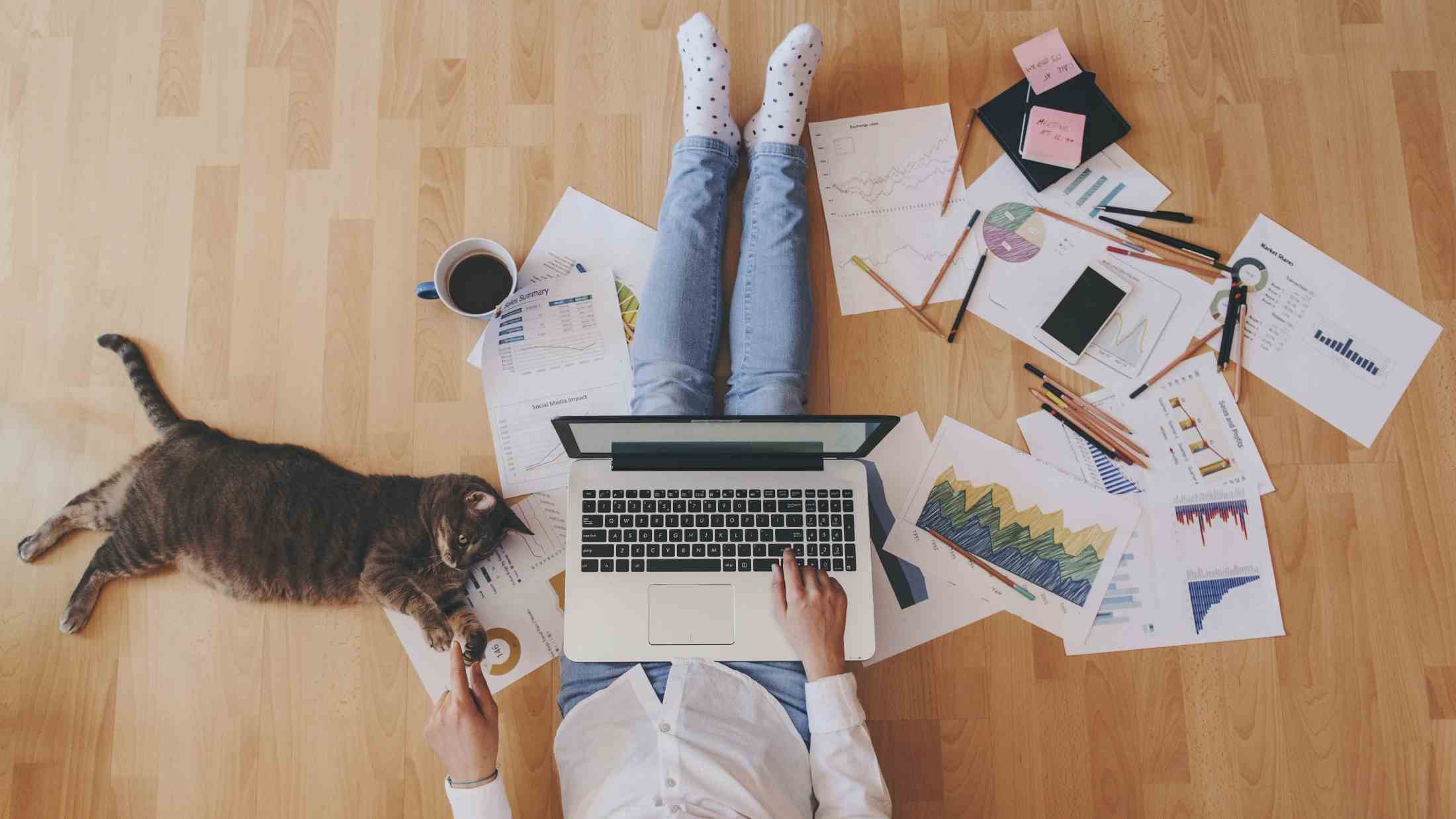 Girl with laptop and business reports scattered on floor working from home while playing with her cat