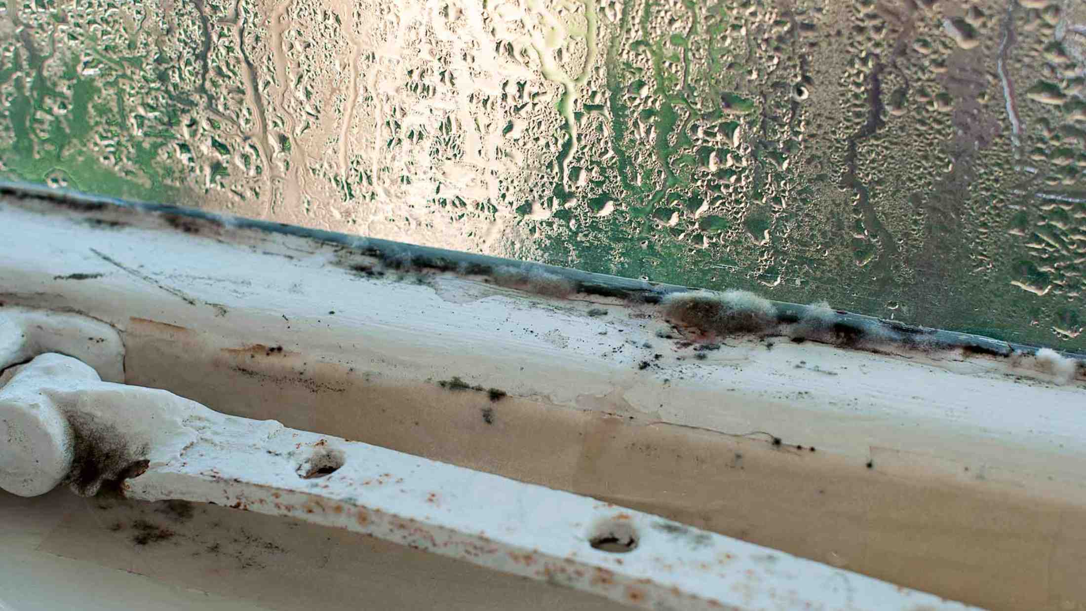 Mouldy windowsill with condensation on glass